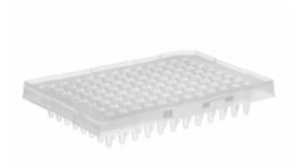 Picture of Microamp 96−Well Rxn Plate No Barcode