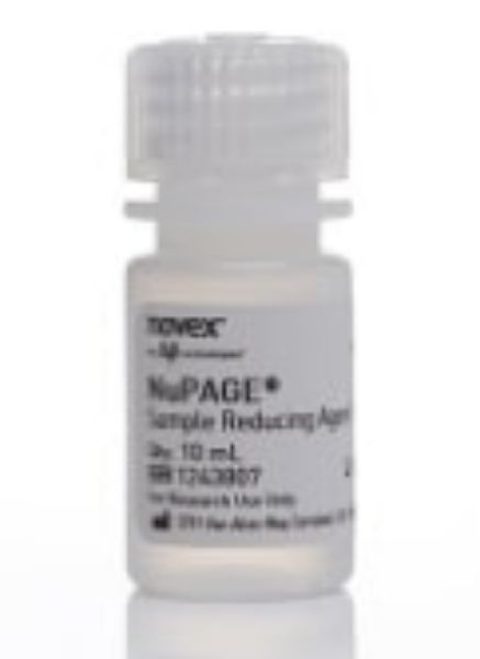 Picture of NuPage Sample Reducing Agent, 10ml