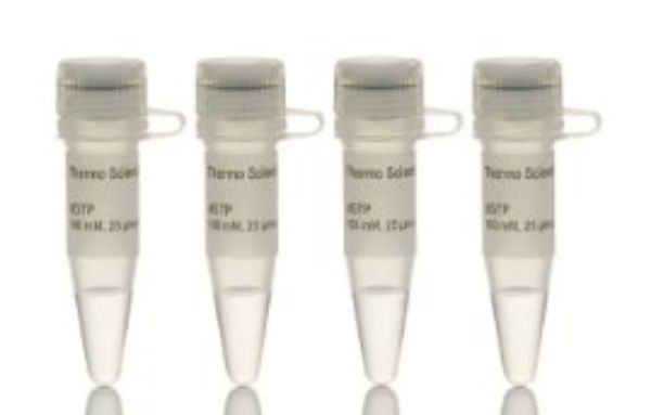 Picture of dNTP Set, 100 mM Solution, 4x0.25ml