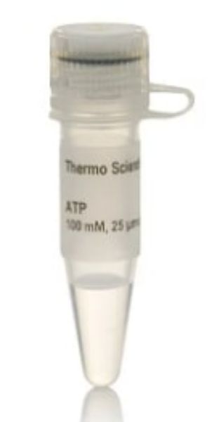 Picture of ATP, 100mM solution