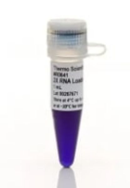 Picture of 2X RNA Loading Dye (1ml)