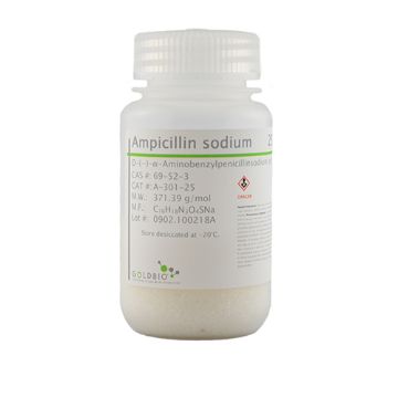 Picture of Ampicillin (Sodium), USP Grade 25 g
