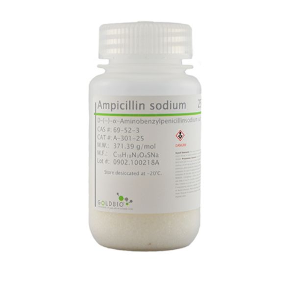 Picture of Ampicillin (Sodium), USP Grade 25 g