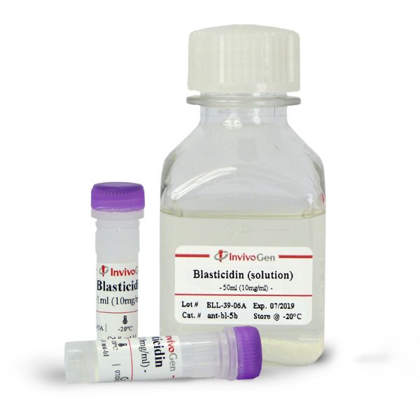 Picture of Blasticidin (solution)~50 mg (5 x 1 ml)