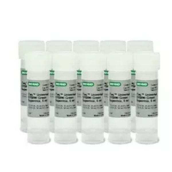 Picture of iTaq Universal SYBR Green Supermix,5,000 x 20 ul rxns, 50 ml (10 x 5 ml) 5,000 x 20 ul reactions, 50 ml (10 x 5 ml), 2x qPCR mix, contains dNTPs, iTaq DNA Polymerase, MgCl2, SYBR Green I, enhancers, stabilizers, fluorescein, and ROX normalization dyes
