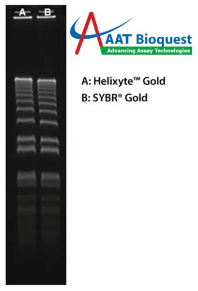 Picture of SYBR Gold Nucleic Acid Gel Stain - Helixyte Gold Nucleic Acid Gel Stain