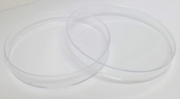 Picture of SPL, Dish, 100mm, Not-Treated, Polystyrene, Round, Sterile
