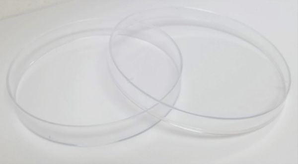 Picture of SPL, Dish, 100mm, Not-Treated, Polystyrene, Round, Sterile