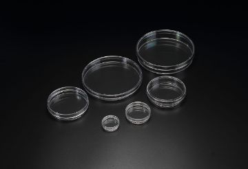 Picture of 20150 - SPL, Dish, 150mm x (20 to 25) mm, Treated, Polystyrene, Round, Sterile