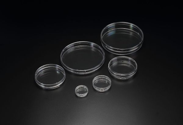 Picture of 20150 - SPL, Dish, 150mm x (20 to 25) mm, Treated, Polystyrene, Round, Sterile