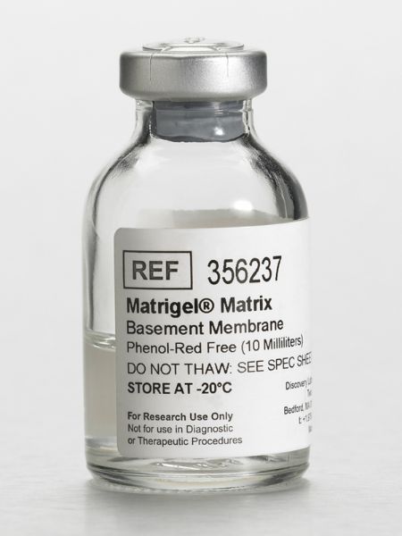 Picture of Corning Matrigel Basement Membrane Matrix, Phenol Red Free, LDEV Free, 10mL