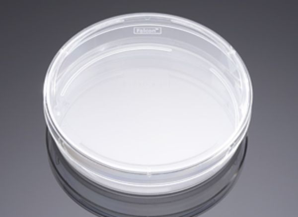 Picture of Falcon 100mm x 20mm Style Cell Culture Dish, Tissue Culture-Treated, Sterile, Bulk Packaged, 20/Pack, 200/Case