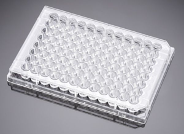 Picture of Falcon 96 Well Cell Culture Plate, Clear, Flat Bottom, Tissue Culture Treated, Sterile, 1/pk, 50/cs