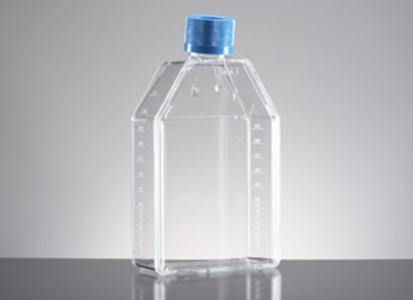 Picture of Falcon 75cm^2 Rectangular Canted Neck Cell Culture Flask with Vented Cap, 5/pk, 60/case