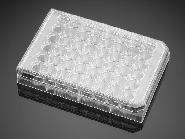 Picture of Falcon 48 Well Clear Flat Bottom, Tissue Culture-Treated Cell Culture Plate with Lid, Non-Pyrogenic, Sterile, Individually Wrapped, 50/Case