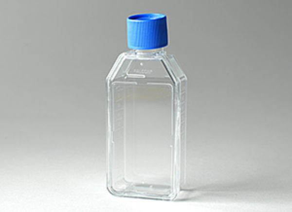 Picture of Falcon 25cm^2 Rectangular Canted Neck Cell Culture Flask with Vented Cap, 100pieces/case