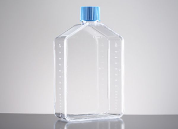 Picture of Falcon 175cm^2 Rectangular Straight Neck Cell Culture Flask with Vented Cap, 40pieces/case