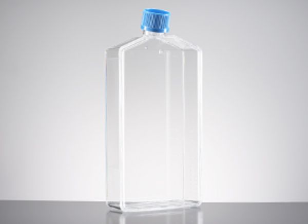 Picture of Falcon 225cm^2 Rectangular Canted Neck Cell Culture Flask with Vented Cap