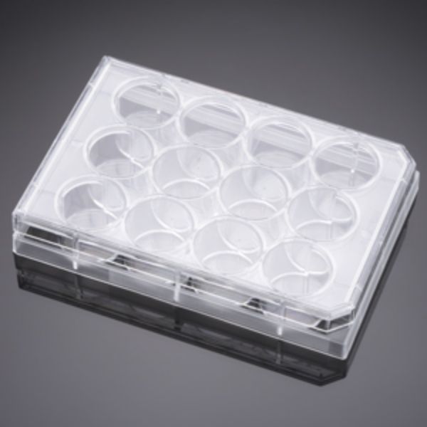 Picture of Falcon 12 Well Clear Flat Bottom, Tissue Culture-Treated Multiwell Cell Culture Plate, with Lid, Non-Pyrogenic, Sterile, Individually Wrapped, 50/Case
