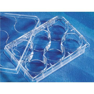 Picture of Corning (16.8mL) Plate, 6-Well, Not-Treated, Polystyrene, F-Bottom, Sterile, Clear 