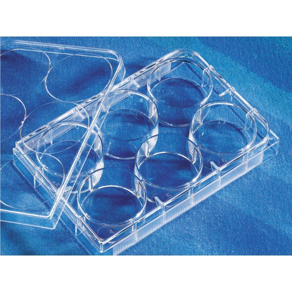 Picture of Corning (16.8mL) Plate, 6-Well, Not-Treated, Polystyrene, F-Bottom, Sterile, Clear 