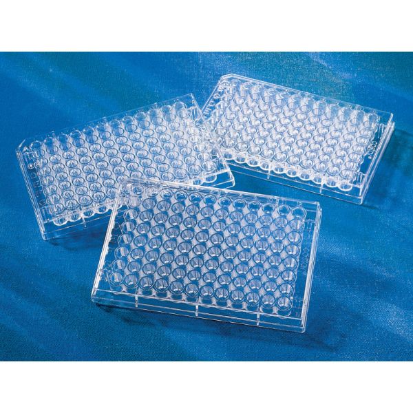 Picture of Corning (234uL) Plate, 96-Well, Not-Treated, Polystyrene, V-Bottom, Non-Sterile, Clear 
