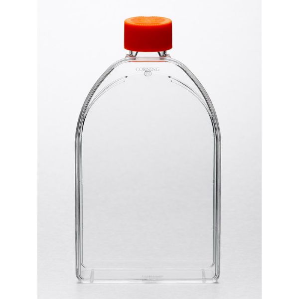 Picture of Corning (45mL) Flask, 150cm^2, Treated, Polystyrene, U - Shaped, Canted Neck, Vented, Sterile