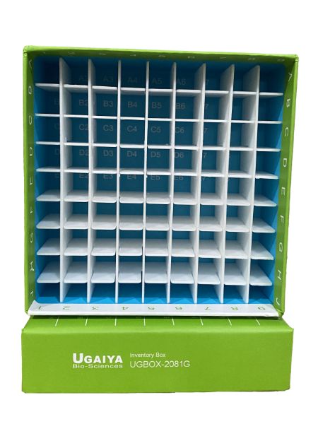 Picture of Ugaiya 2 inch Cardboard boxes, GREEN, 81-placed