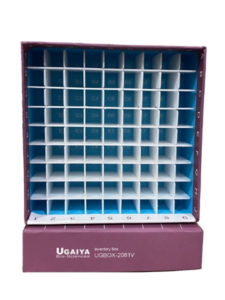 Picture of Ugaiya 2 inch Cardboard boxes, VIOLET, 81-placed