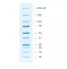 Picture of Precision Plus Protein All Blue Prestained Protein Standards