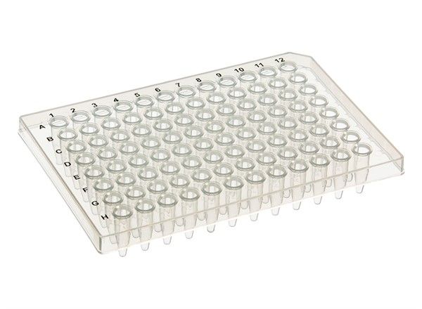 Picture of SSIBIO (200uL) Plate, 96-Well, Elevated Skirt, Not-Treated, Polypropylene, Flat Top, Non-Sterile