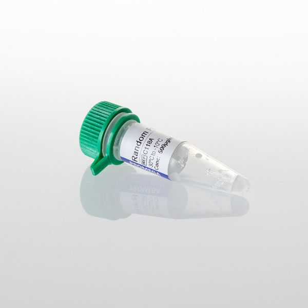 Picture of Random Primers