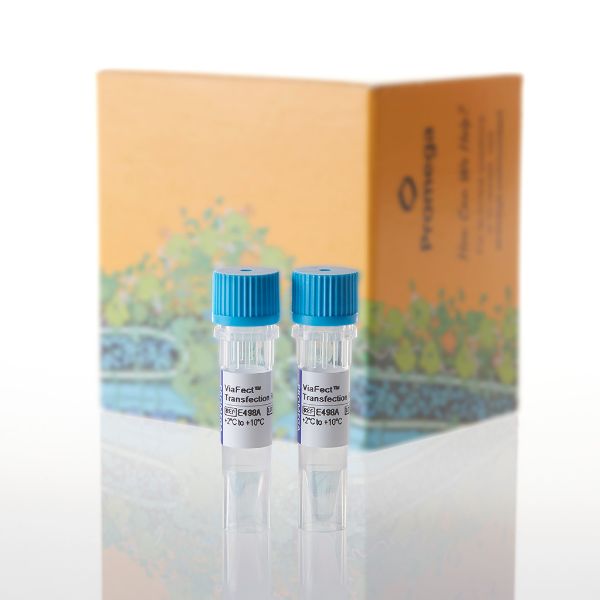 Picture of ViaFect Transfection Reagent, 2x 0.75ml