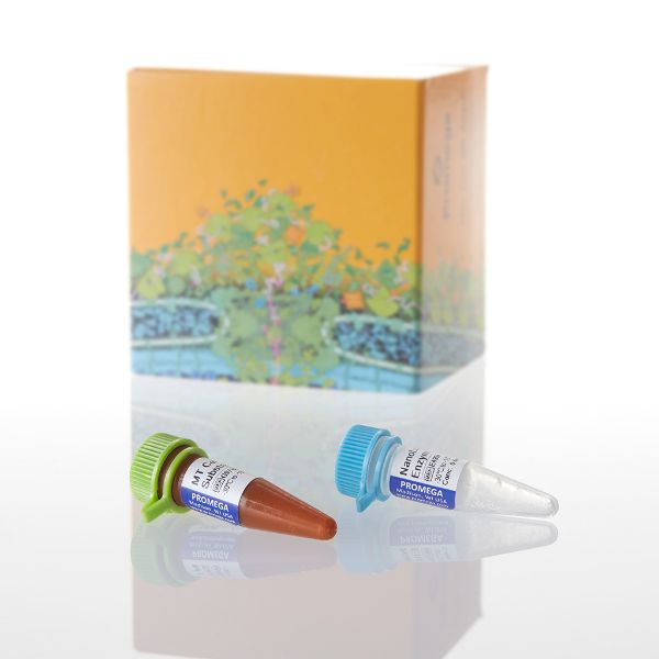 Picture of RealTime-Glo MT Cell Viability, 100 reactions