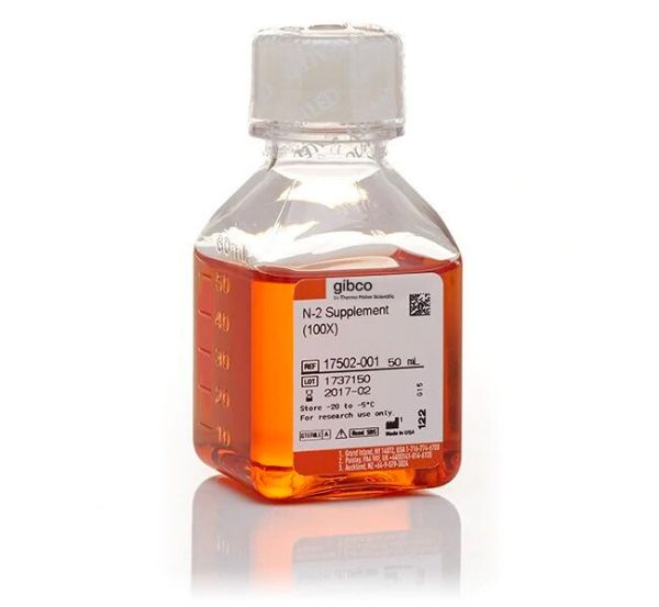 Picture of N2 Supplement, (100x) 50ml
