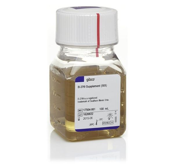 Picture of B-27 Serum-Free Supplement (50X), liquid, 100ml