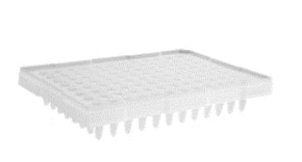 Picture of Axygen (200uL) Plate, 96-Well, Elevated Skirt, Not-Treated, Polypropylene, Flat Top, Non-Sterile