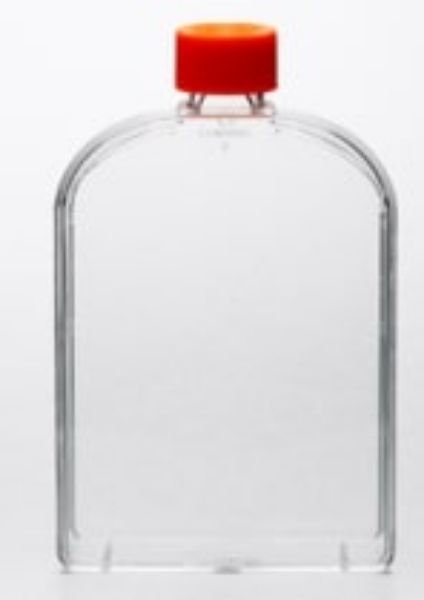 Picture of Corning (250mL) Flask, 175cm^2, Treated, Polystyrene, Rectangular, Angled Neck,  Sterile