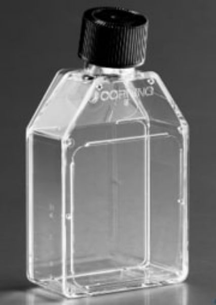 Picture of CORN430372 - (30mL) Flask, Treated, Polystyrene, Rectangular, Canted Neck, Sterile