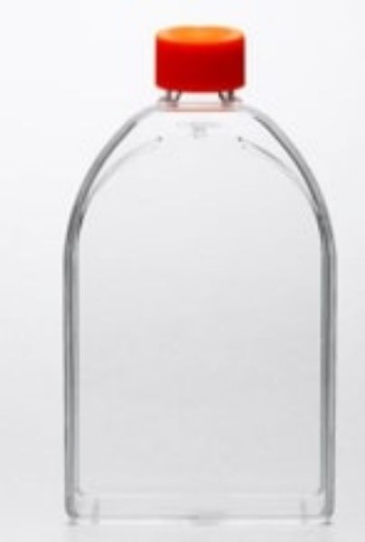 Picture of CORN430825 - (45mL) Flask, 150cm^2, Treated, Polystyrene, U - Shaped, Canted Neck, Vented, Sterile