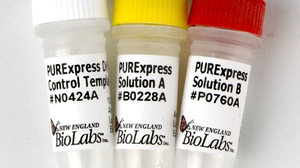 Picture of PURExpress In Vitro Protein Synthesis Kit