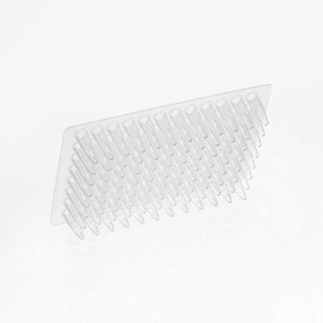 Picture of Jet Biofil (200uL) Plate, 96-Well, Non-Skirt, Not-Treated, Polypropylene, Flat Top, Non-Sterile