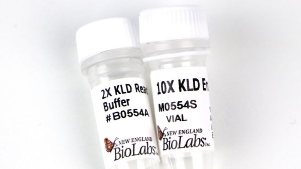 Picture of KLD Enzyme Mix