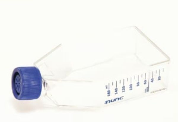 Picture of NUNC (25mL) Flask, 75cm^2, Treated, Polystyrene, Angled Neck, Sterile, Filter HDPE Cap