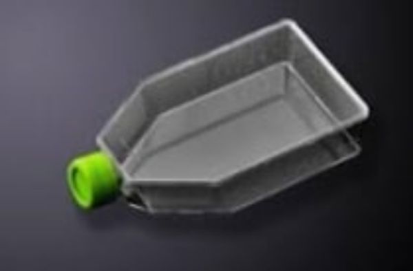 Picture of VWR (250mL) Flask, 75cm^2, Treated, Polystyrene, Rectangular, Angled Neck, Sterile