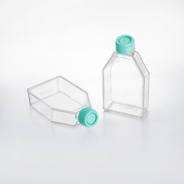 Picture of JEB.TCF011250 (250mL) Flask, 75cm^2, Treated, Polystyrene, Rectangular, Angled Neck, Sterile