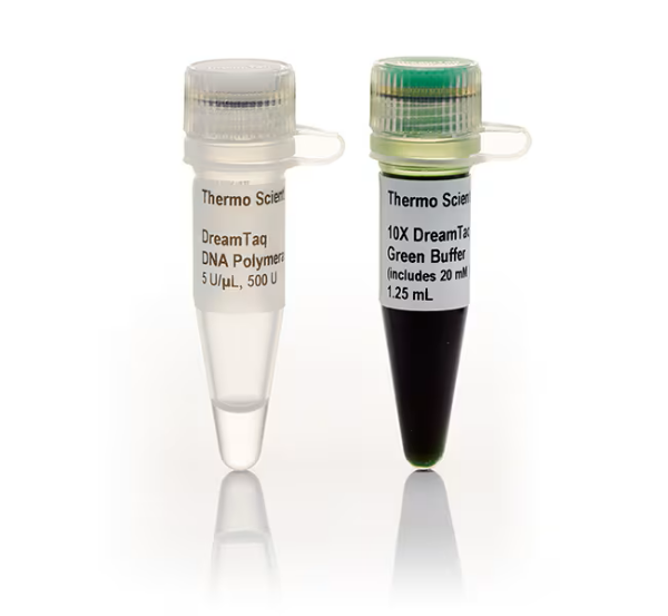 Picture of DreamTaq Green DNA Polymerase (500 units, 5U/ul)