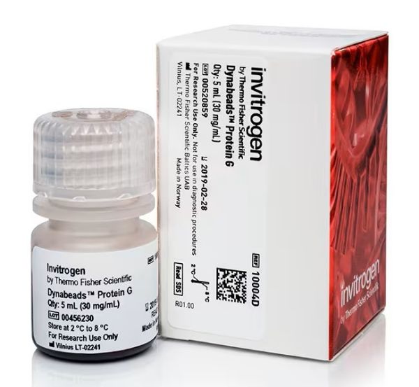 Picture of Dynabeads Protein G for Immunoprecipitation (100 tests)