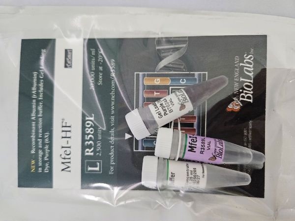 Picture of (L) MfeI-HF