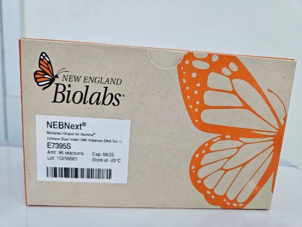 Picture of NEBNext Multiplex Oligos for Illumina (Unique Dual Index UMI Adaptors DNA Set 1)